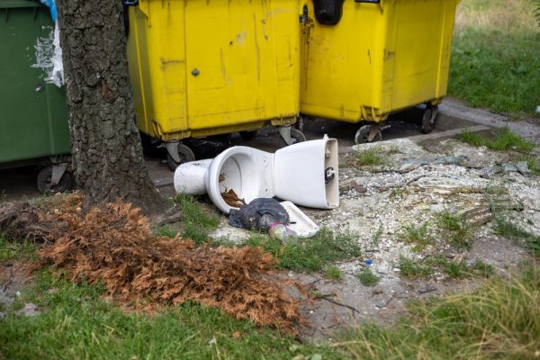 Πού να πετάξετε την παλιά λεκάνη της τουαλέτας; Θα εκπλαγείτε. Κανένα δοχείο δεν είναι καλή επιλογή.