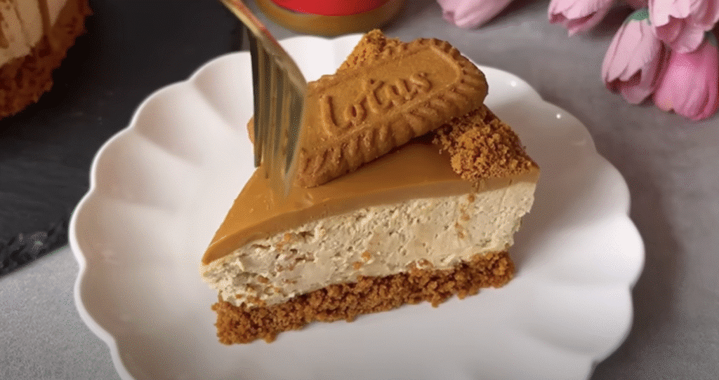 Undaked Lotus Biscoff Cheesecake με τυρί Cottage -Lotus - απλή και εύκολη προετοιμασία!
